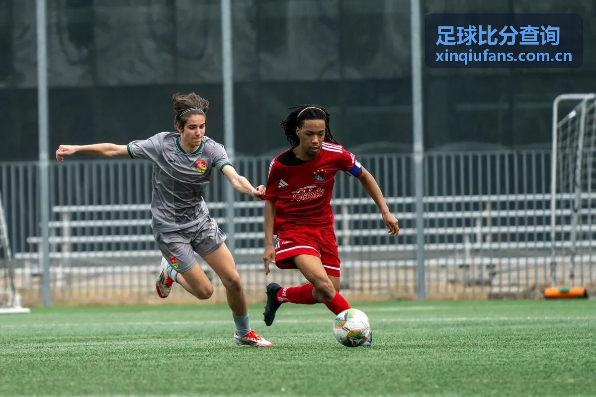 足球比分查询 - 德甲联赛
